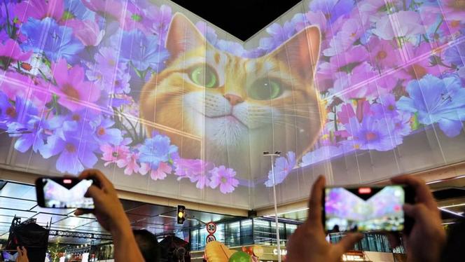 一只灵动的橘猫爬上前滩公园巷的"无尽之旋",向外发出城市邀约